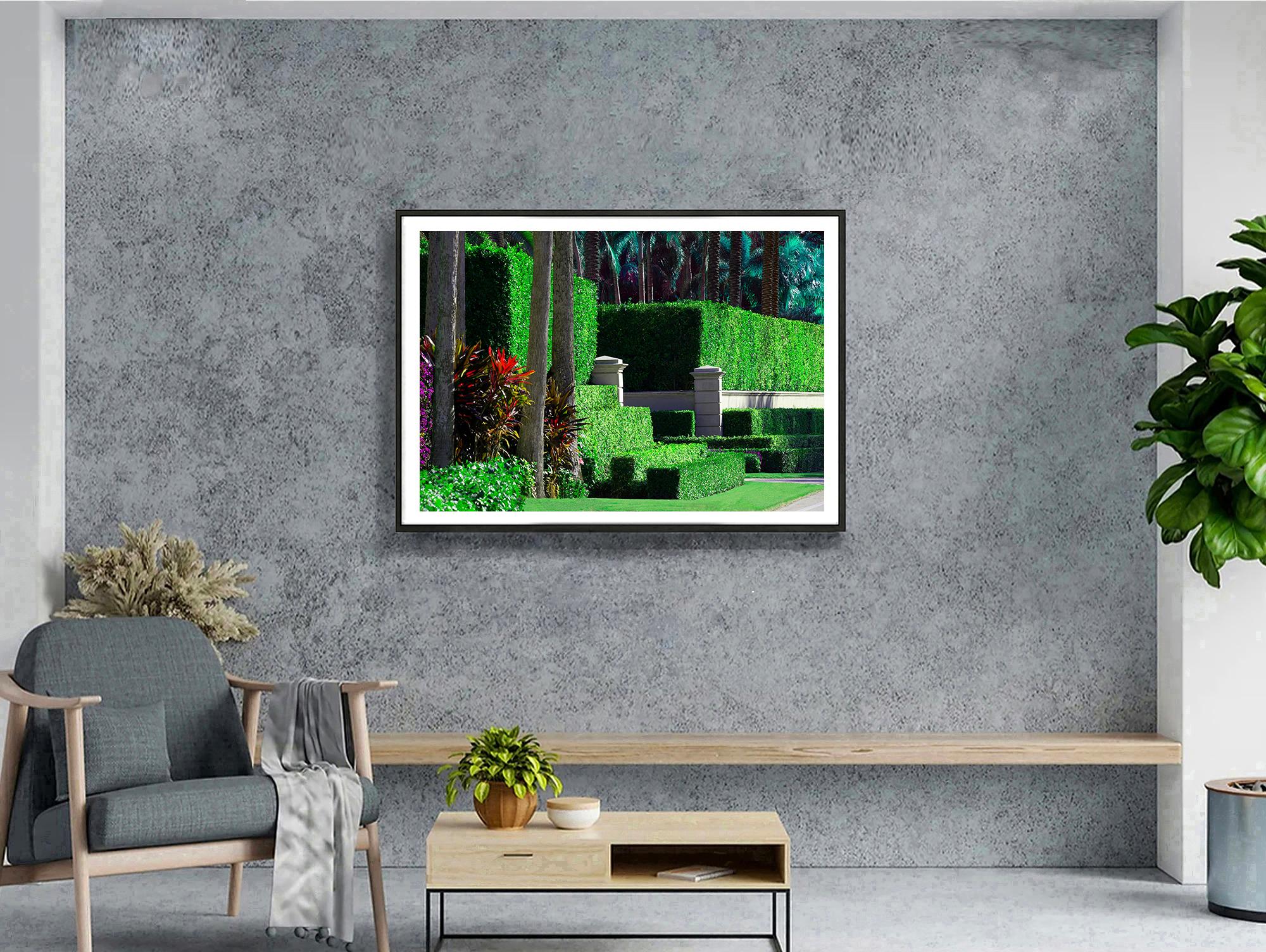 Hedge Fun - Billionaires Row - Palm Beach - Wie die Reichen Street Art machen (Schwarz), Color Photograph, von Robert Funk