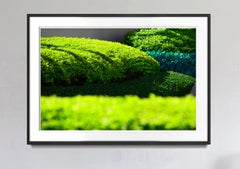 Hedge Fun - Brickell Key - Straßenkunst aus dem Wohlstand