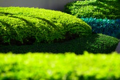 Hedge Fun - Brickell Key - Straßenkunst aus dem Wohlstand