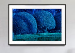 Hedge Fun - Collins Avenue Miami Beach - Blue