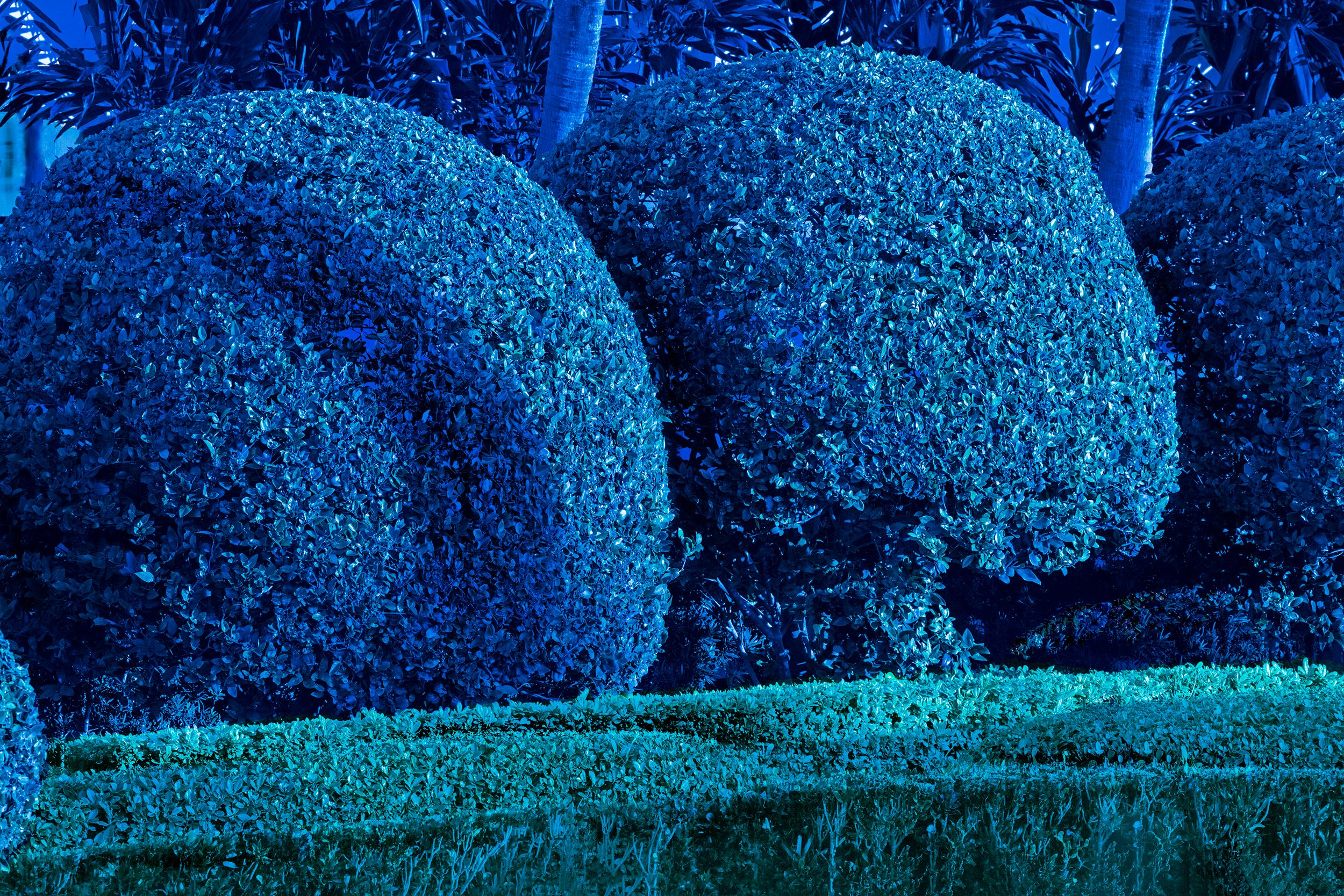 Robert Funk Landscape Photograph - Hedge Fun - Collins Avenue Miami Beach - Blue 