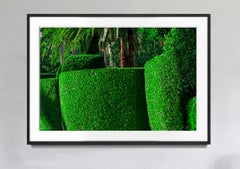 Hedge Fun - El Bravo Way,  Palm Beach  -  Slim Arrons forgot the Shrubs