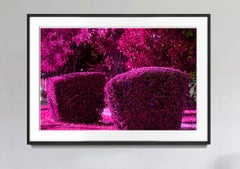 Hedge Fun - Flamingo Park Miami Beach - Violet Purple