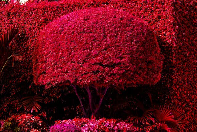 Thomas Ruff - THOMAS RUFF: Tripe 08 - 21st Century, Modern, Landscape ...