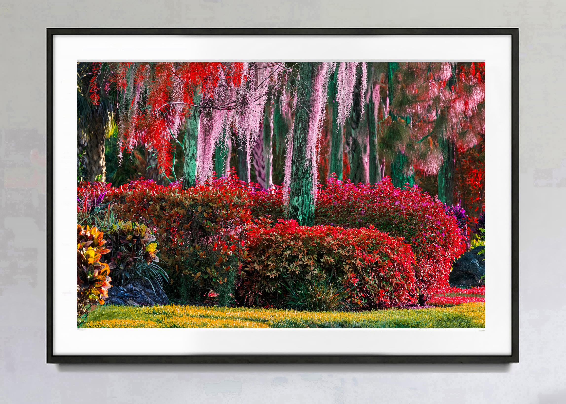 Hedge Fun – Neapel, Florida –  Happy Colors Landschaftsfotografie, Abstrakte Fotografie  – Photograph von Robert Funk