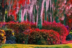 Hedge Fun - Naples, Florida -  Happy Colors Landscaping, Abstract Photography 