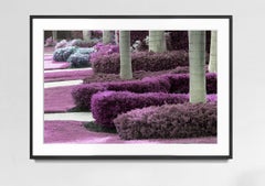 Hedge Fun - Naples - Street Art by the Wealthy