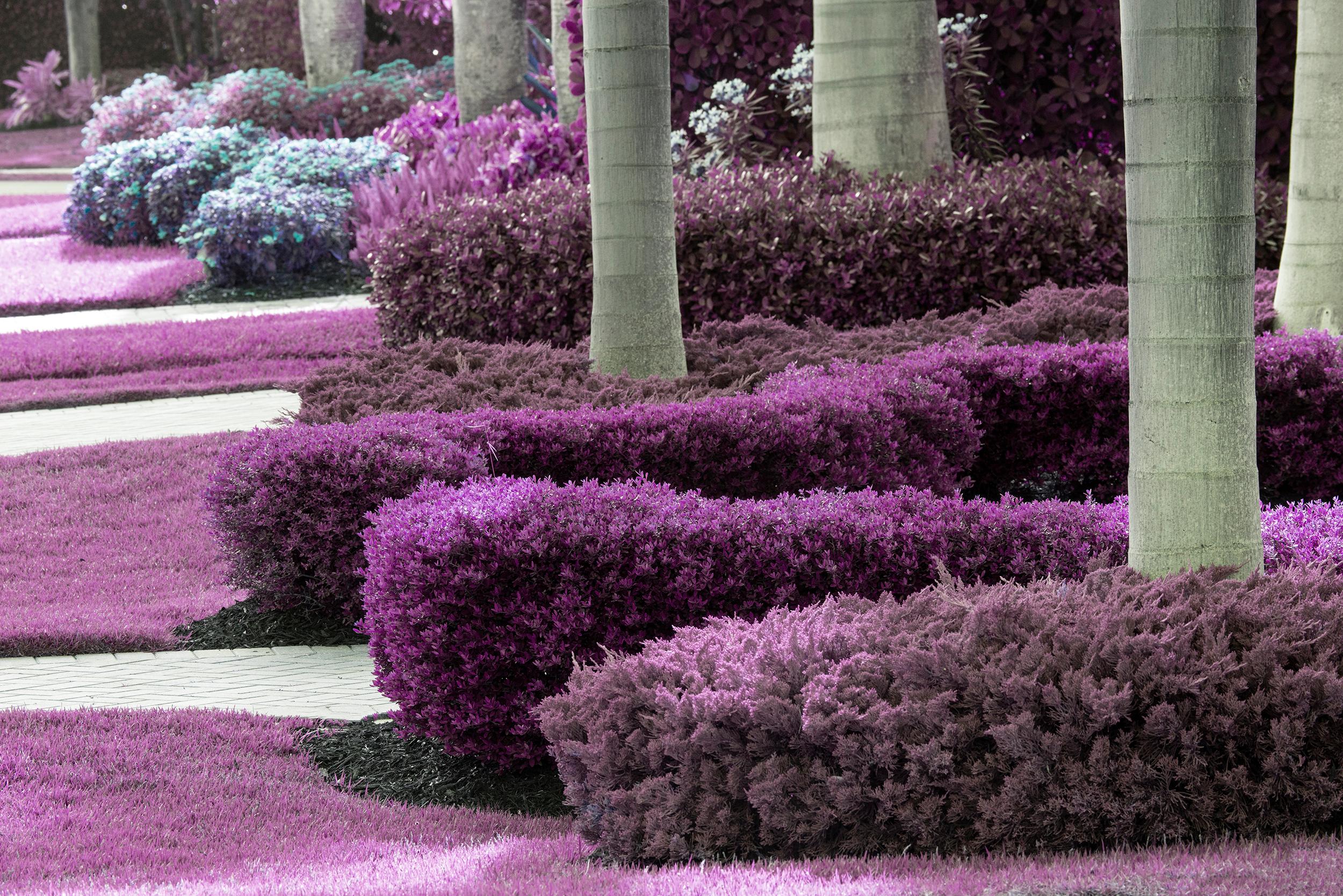 Robert Funk Color Photograph - Hedge Fun - Naples - Street Art by the Wealthy