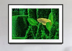 Street Art from the Rich -Hedge Fun - Sunset Island - Miami Beach