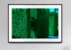 Hedge Fun - Sunset Island2 - Miami Beach - Street Art by the Rich