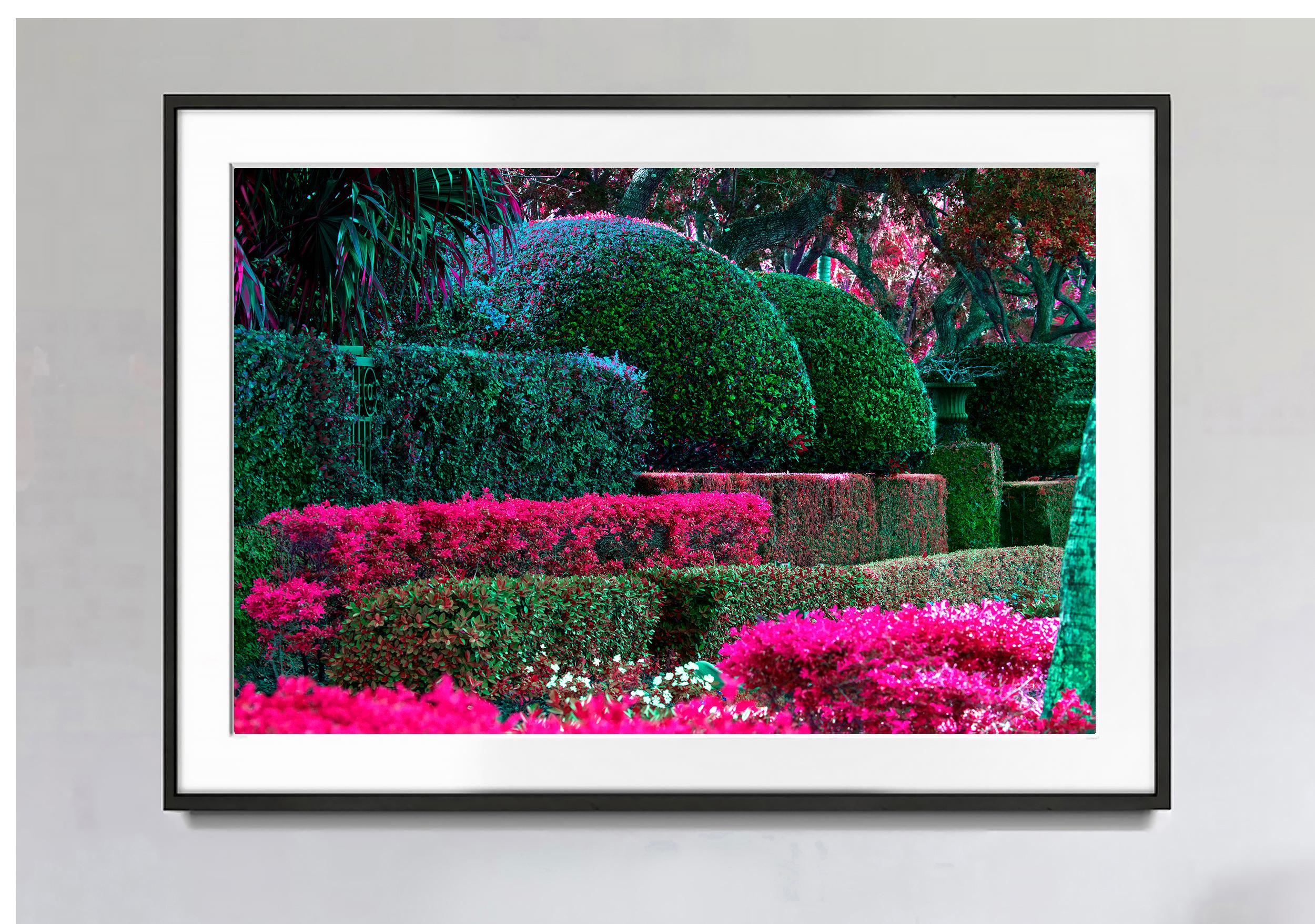 Hedge Fun - The Biltmore Hotel Coral Gables - Photograph by Robert Funk