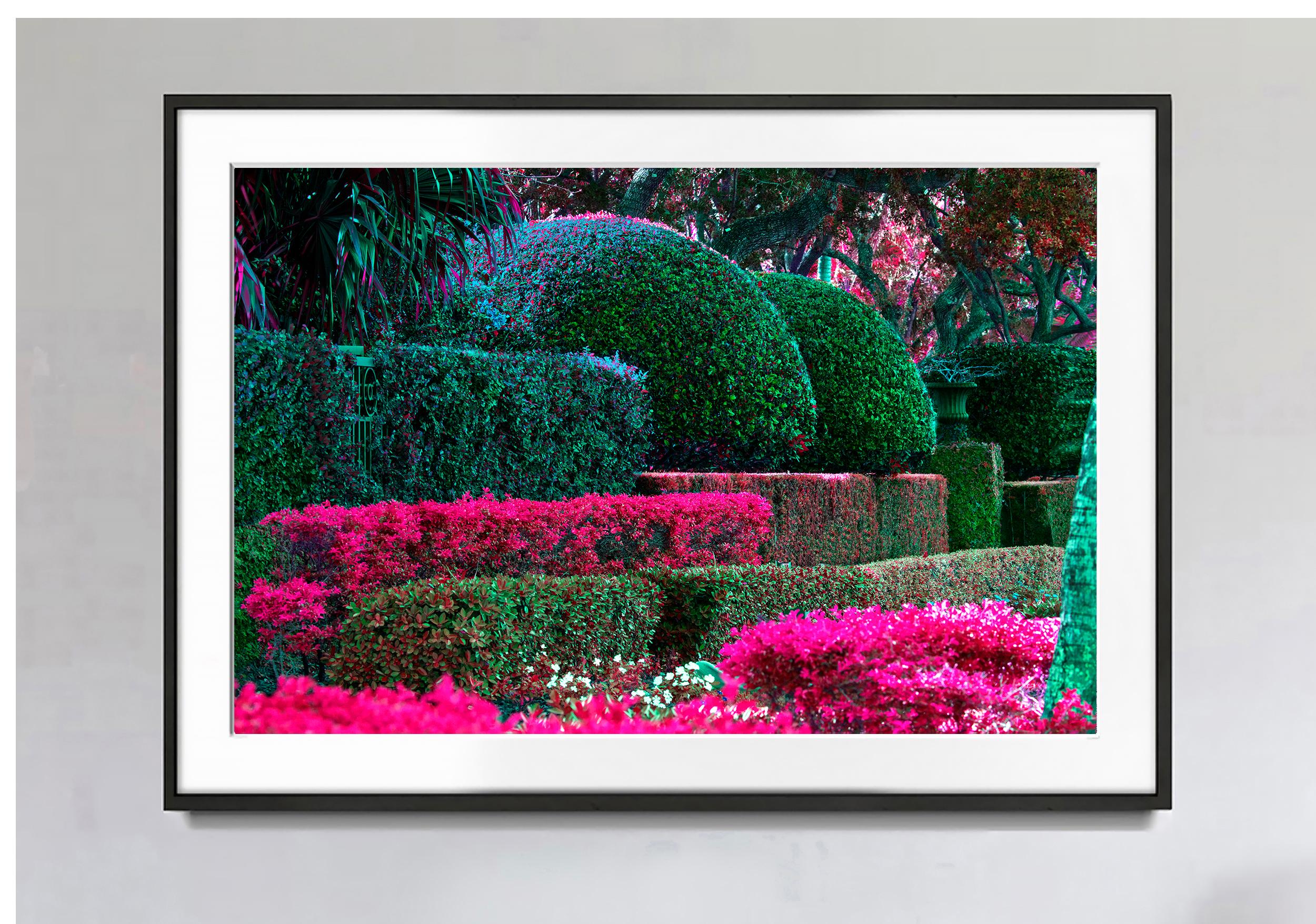 Diversión en el seto - The Biltmore Hotel Coral Gables - Photograph de Robert Funk