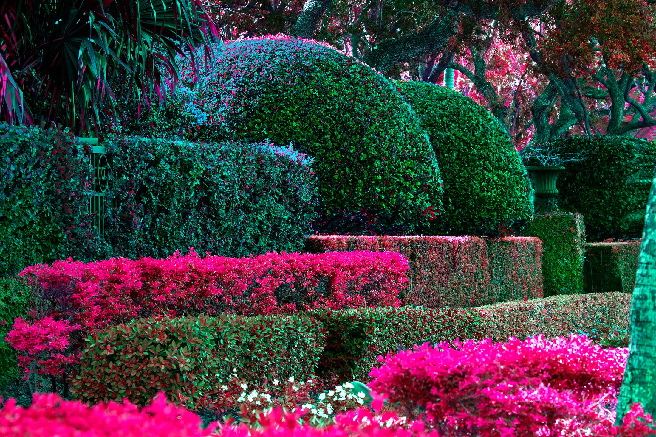 Abstract Photograph de Robert Funk - Diversión en el seto - The Biltmore Hotel Coral Gables