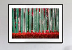 Hedge Fun - The Lizard of Key Biscayne - Street Art by the Rich