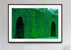 Hedge Fun - Two Arches, Palm Beach -  Slim Arrons forgot to shoot the Shrubs