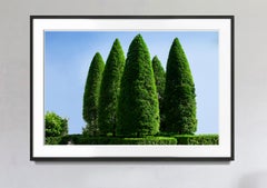 HegdeFun - I Cinque Alberi - L'arte di strada fatta dai ricchi