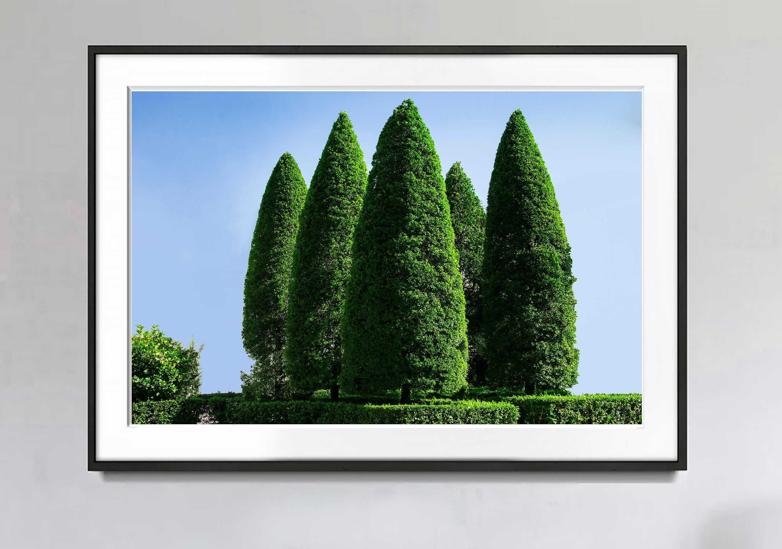 HegdeFun  - I Cinque Alberi - L'arte di strada fatta dai ricchi - Photograph di Robert Funk