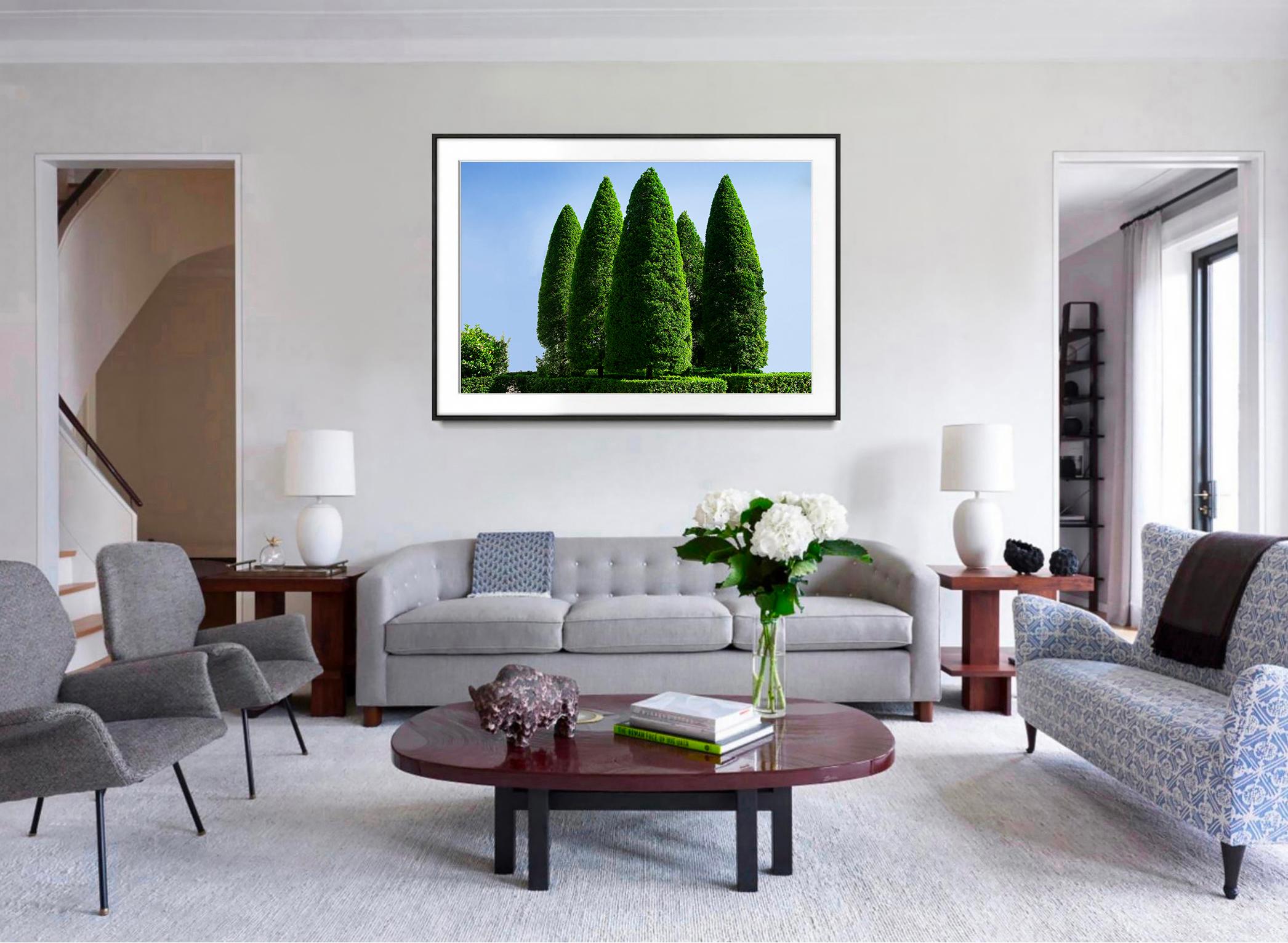 HegdeFun  - I Cinque Alberi - L'arte di strada fatta dai ricchi - Photograph Hard-Edge di Robert Funk