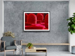 How The Rich do Street Art - Sunset Island, Miami Beach - Red Bushes