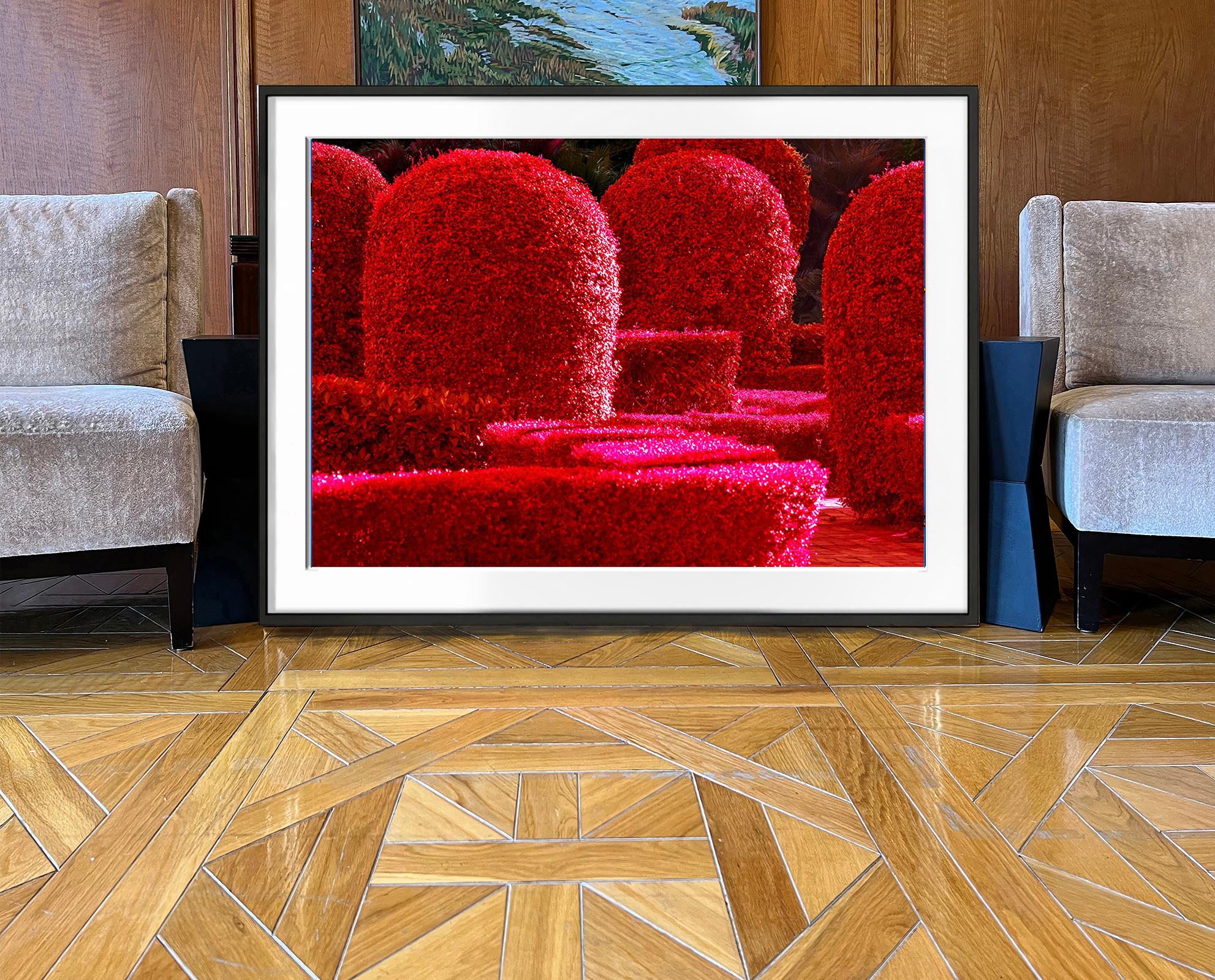 Cómo hacen arte callejero los ricos - Sunset Island, Miami Beach - Red Bushes - Abstract Photograph Rojo de Robert Funk