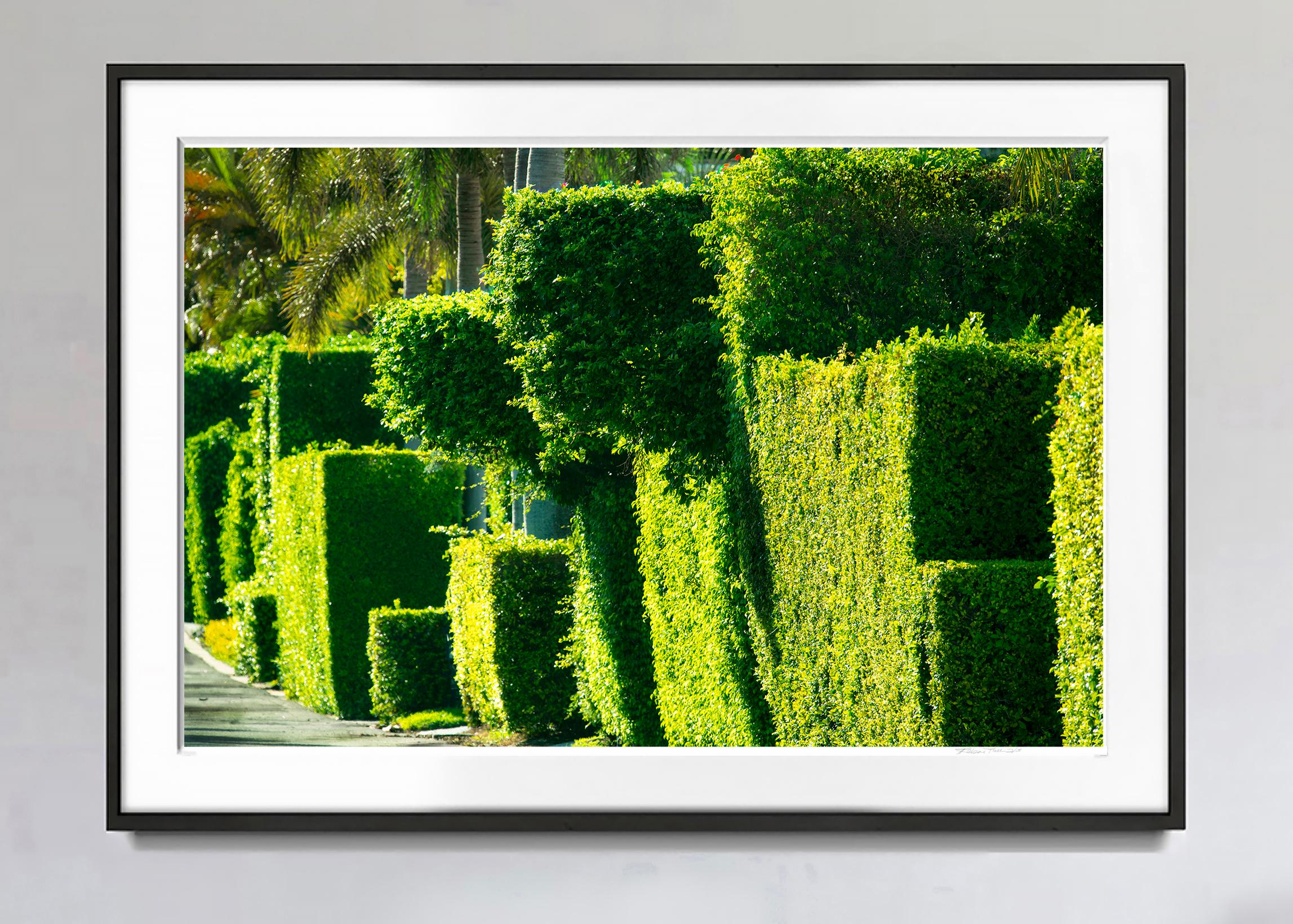 How the Rich Make Street Art –  Palm Beach 5 – Photograph von Robert Funk