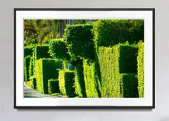 How the Rich Make Street Art -  Palm Beach 5