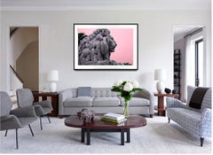 Lion Male in Majestic Mauve Pink