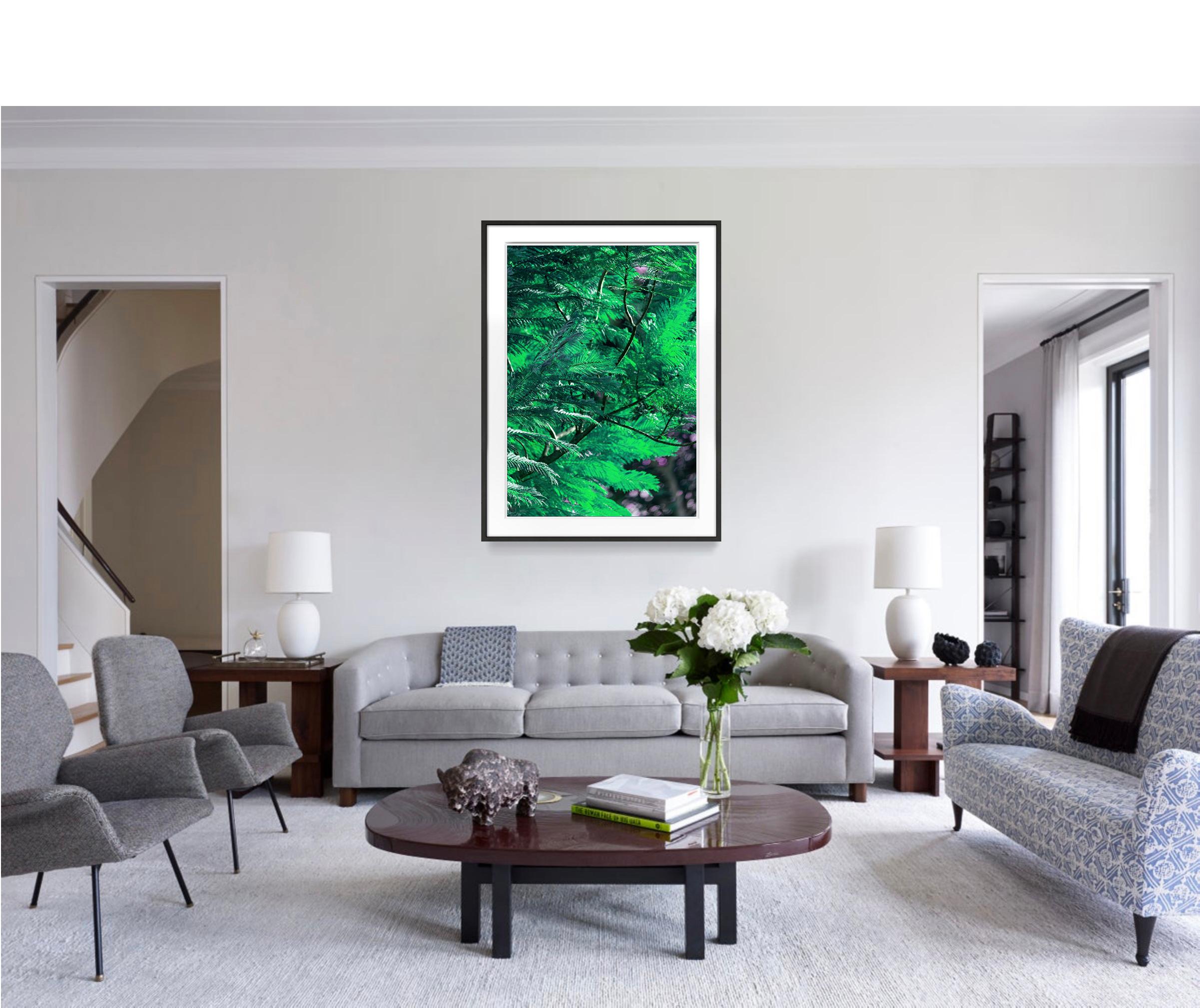 Albero perso nei pensieri:  Verde e viola - Photograph di Robert Funk