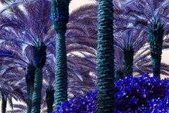 Palm Trees Turn Purple - Miami Beach 