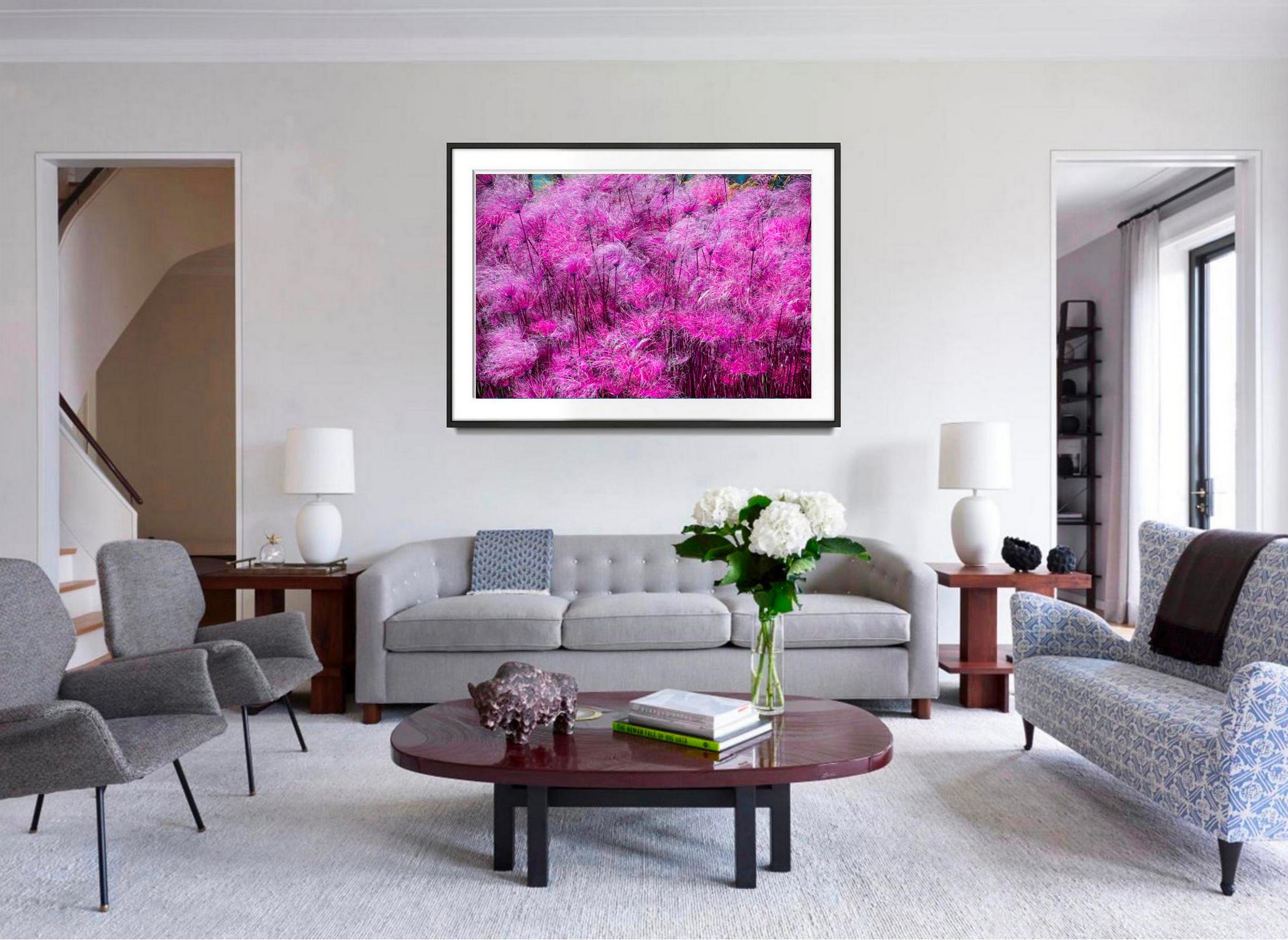 Pink  Purple Flowers Wispy Impressionist  - Photograph by Robert Funk