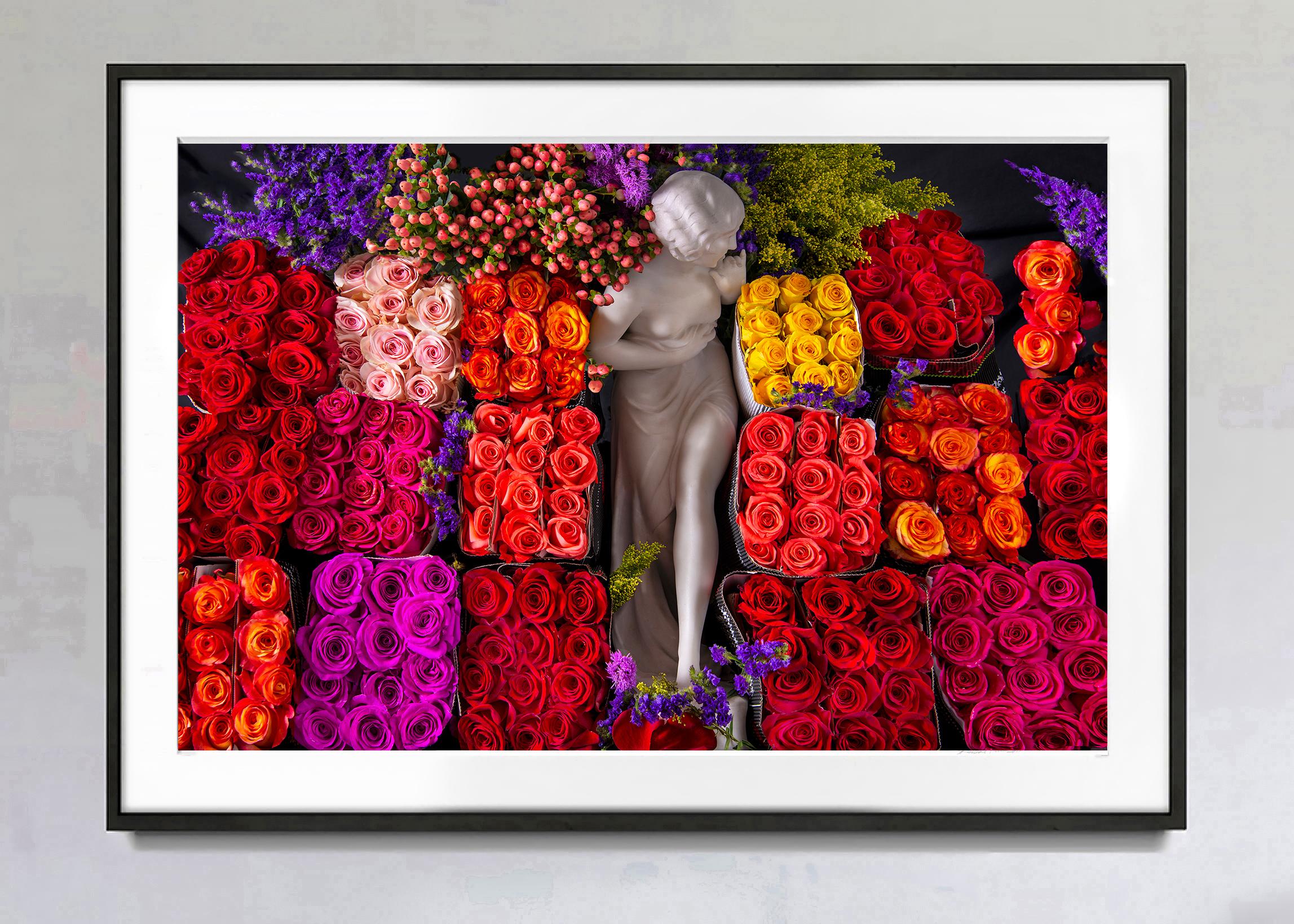 Hundreds of Red Roses, Pink Roses, and Yellow Roses in stacked blocks flank a 19th Century nude marble statue of a nude young girl.  In a sense, the statue and the roses are one and the same. This elaborately composed image is the quintessence of