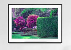 Hedge Fun - Old Naples - How the Rich make Street Art