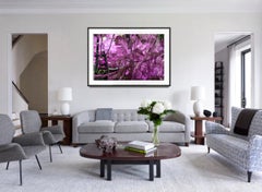 Royal Poinciana Abstract in Lavender, Purple and Green