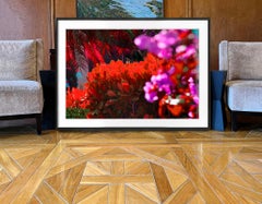 Street Art by the Rich - Naples Hedges Abstraction