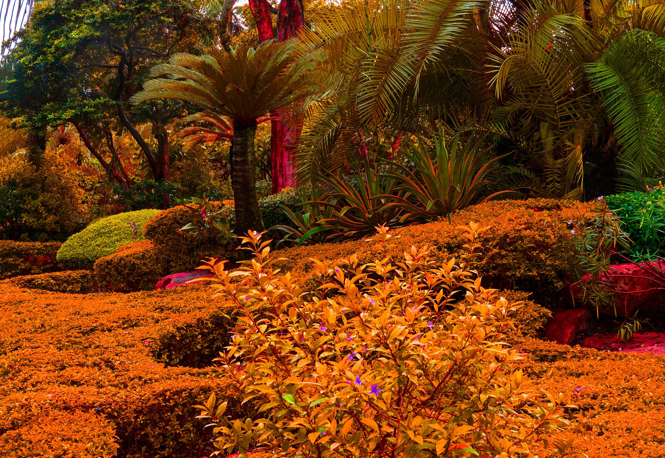 Robert Funk Color Photograph -  Tasty Garden of Eden