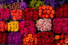 Trois cents et soixante roses violettes et rouges  Le pouvoir des fleurs
