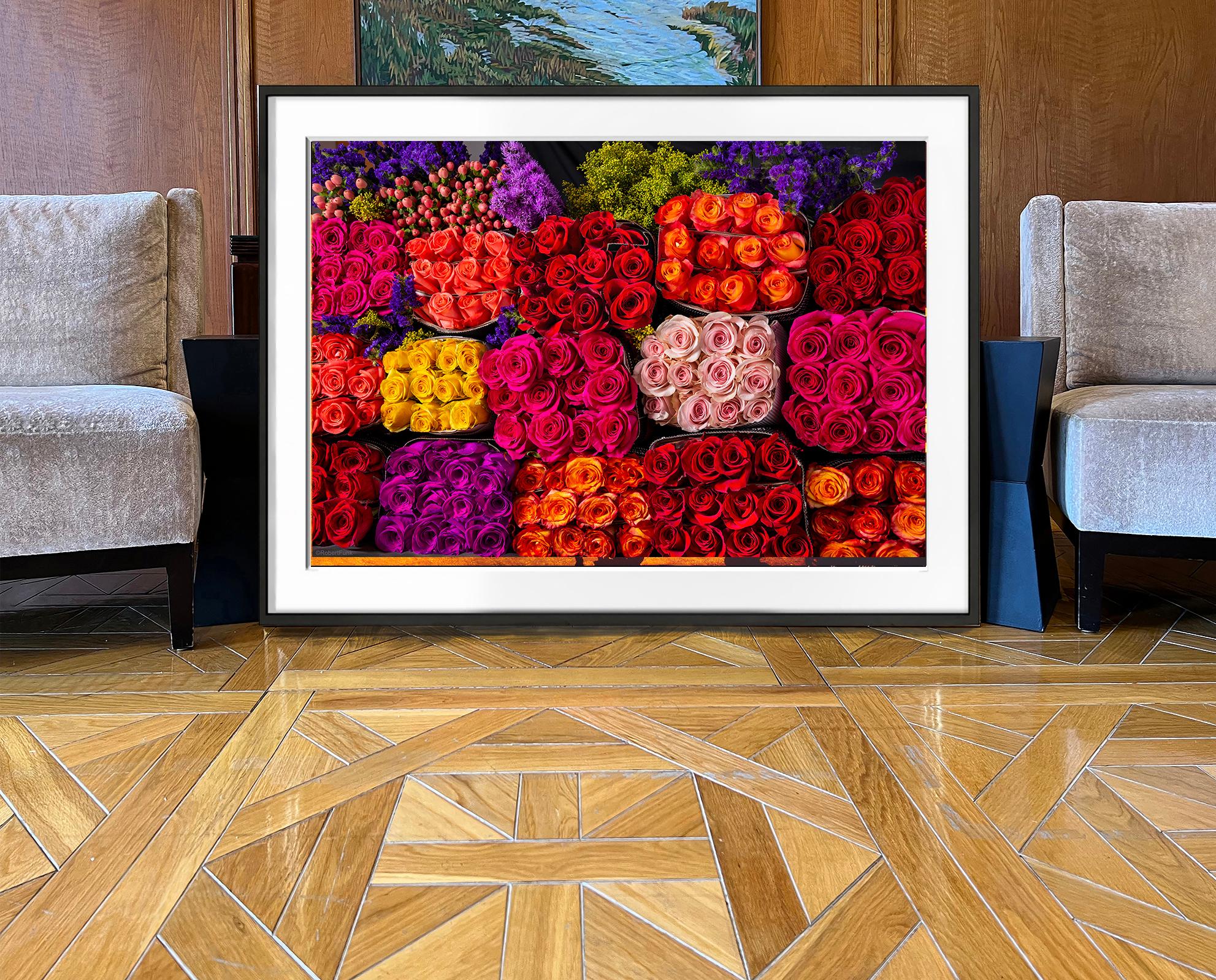 Trecentosessanta rose viola, rosa e rosse,  Potere ai fiori - Still-Life Photograph Grigio di Robert Funk