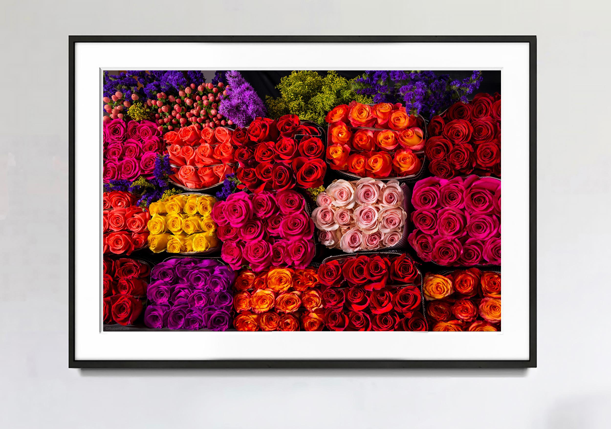 Robert Funk Color Photograph – Dreiundsechzig lila-rosa und rote Rosen,  Flower Power 