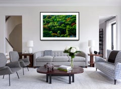 Tree Candy - Simpson Park Brickell Miami