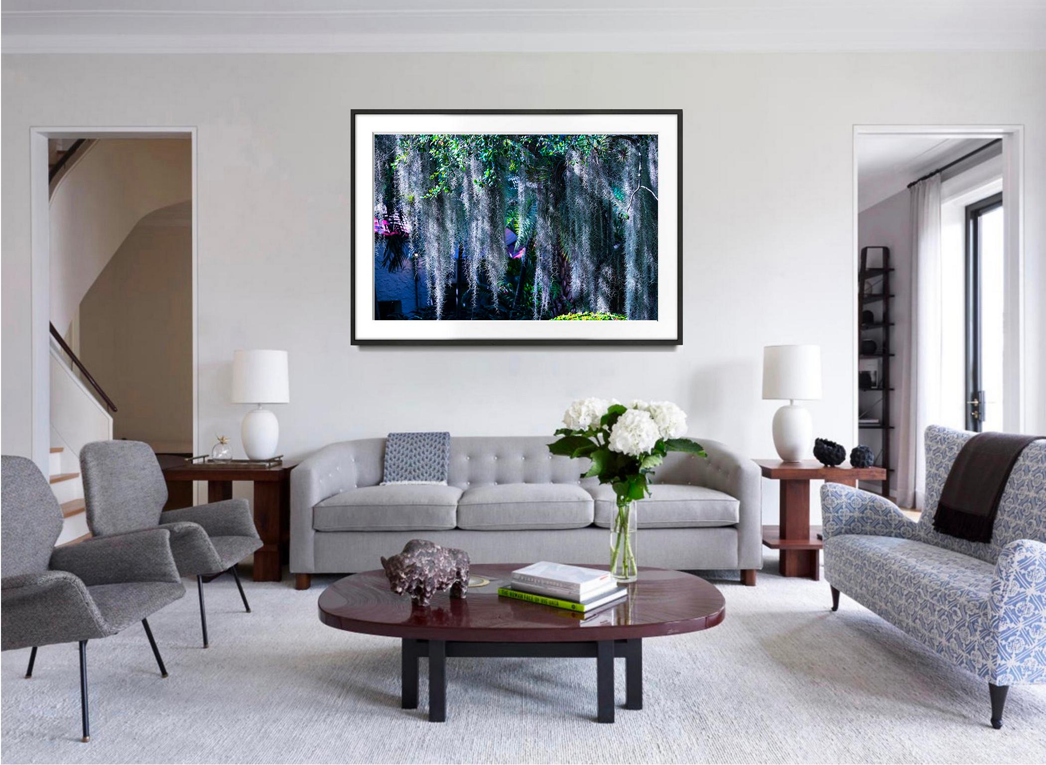 Waterfall of Spanish Moss. Neutral Colors - Photograph by Robert Funk