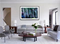 Waterfall of Spanish Moss. Neutral Colors