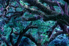 Post-Impressionist Landscape Photography
