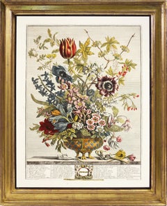 FURBER's Spectacular Floral Calendar: Twelve Months of Flowers