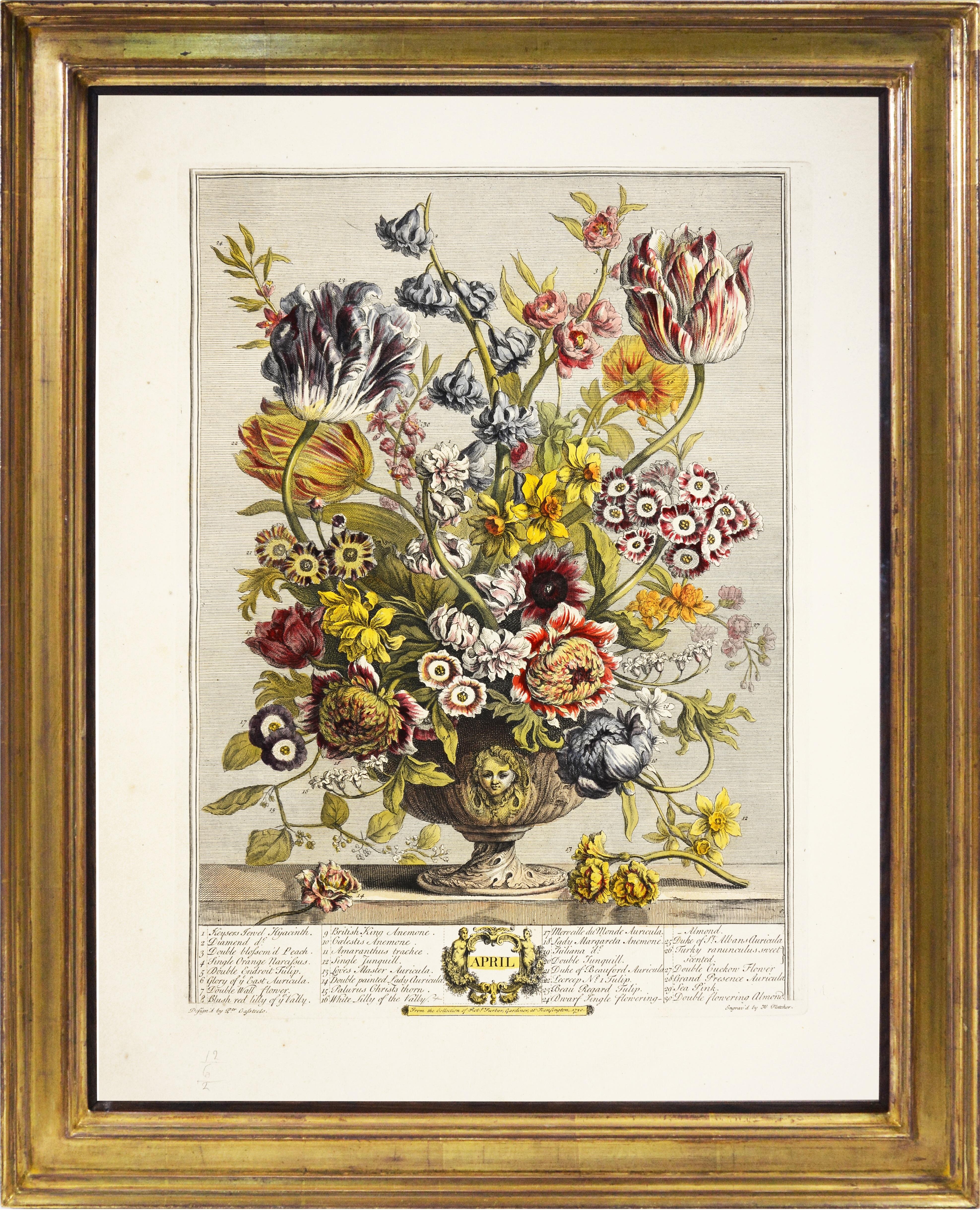 Robert Furber - FURBER's Spectacular Floral Calendar: Twelve Months of  Flowers at 1stDibs | robert furber original print, 12 months of flowers,  robert furber prints