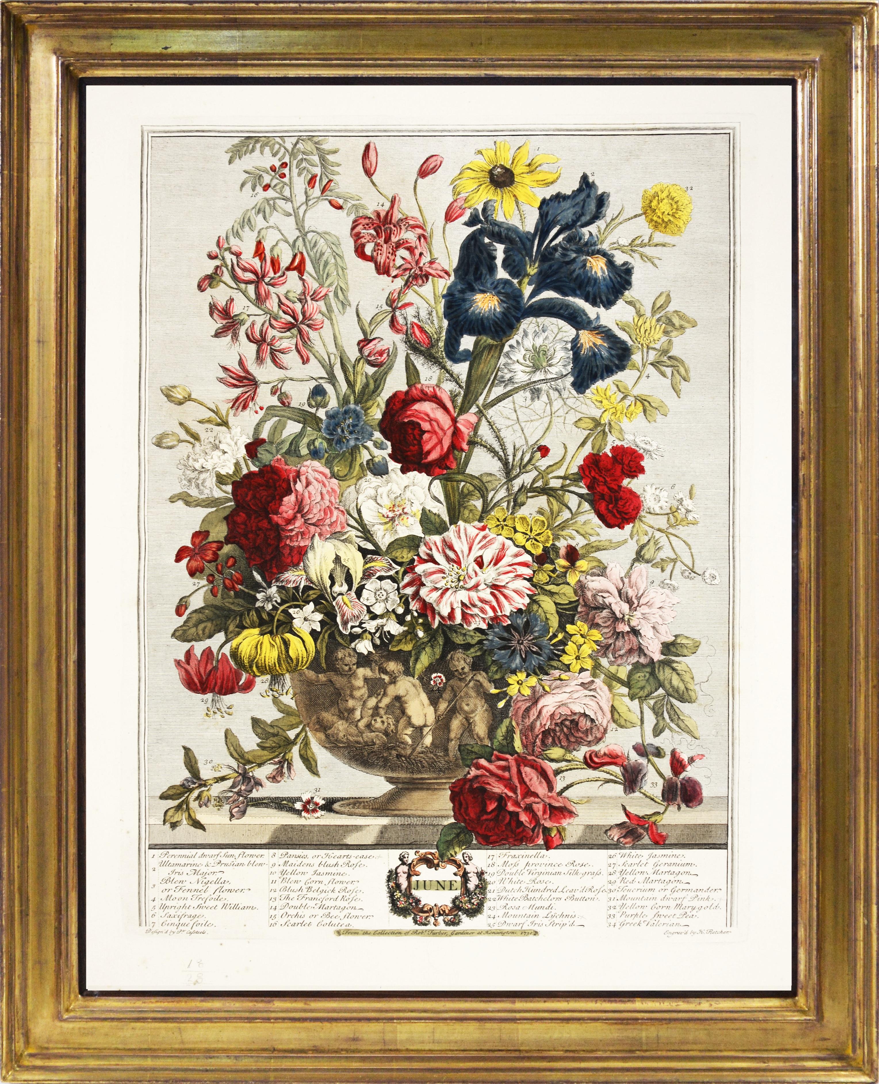 FURBER's Spectacular Floral Calendar: Twelve Months of Flowers - Naturalistic Print by Robert Furber