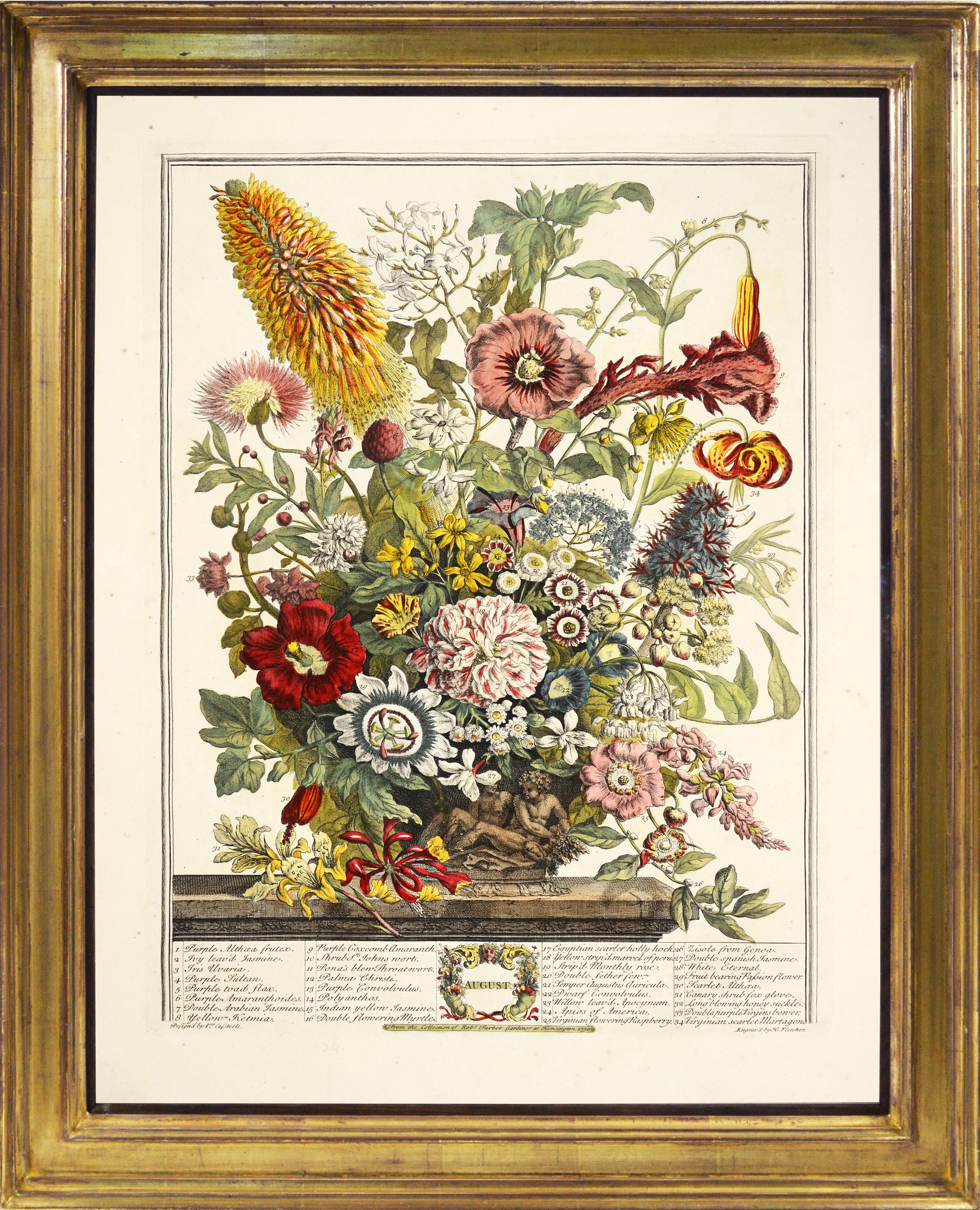 Spectacular floral calendar. 
FURBER, Robert.
Twelve months of flowers.
[London, 1730-32].

Twelve hand-coloured plates designed by Pieter Casteels and engraved by H. Fletcher.   
Sheet size:  46cm by 58.5cm.  

Rare complete set of what was