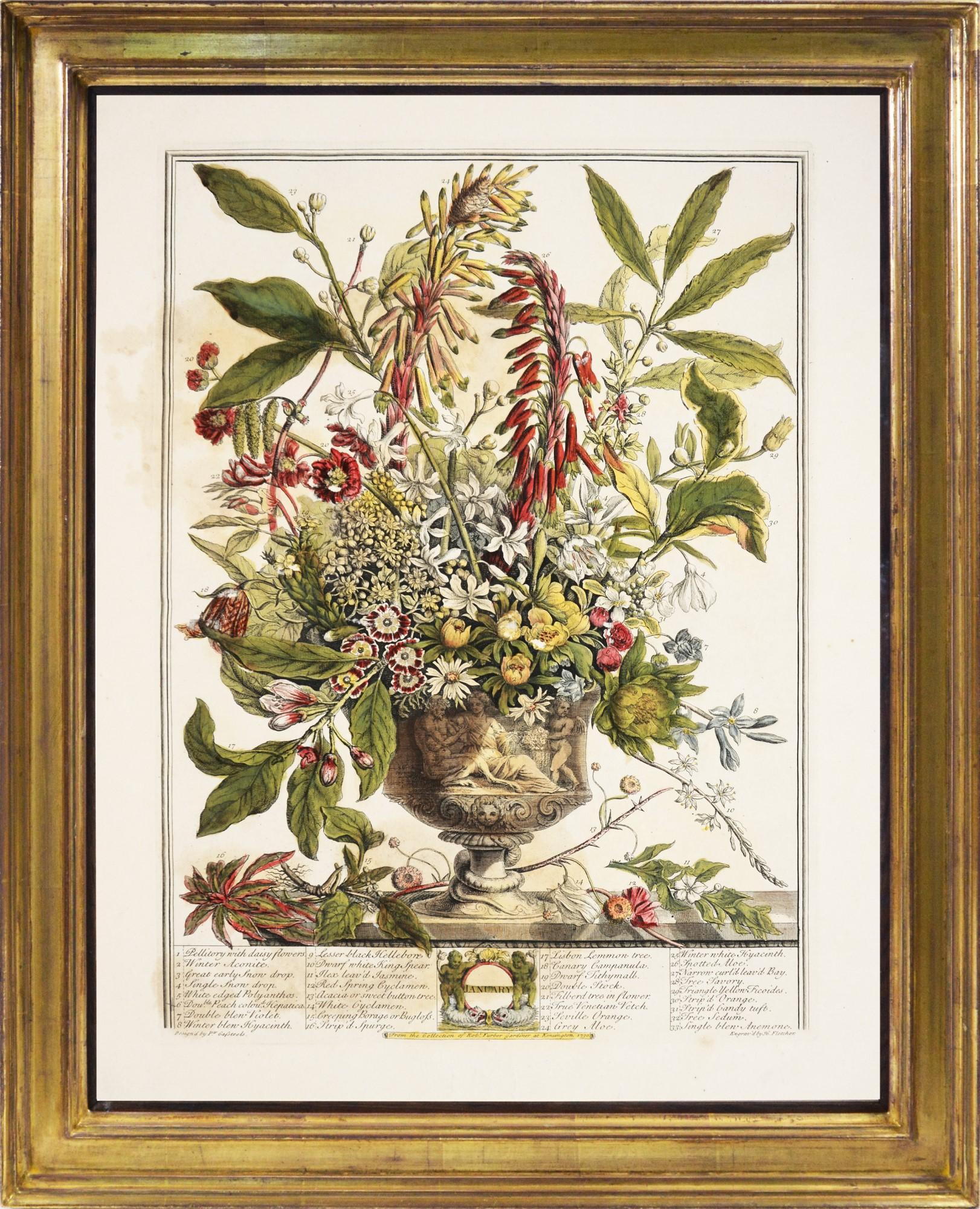 Robert Furber Still-Life Print - FURBER's Spectacular Floral Calendar: Twelve Months of Flowers