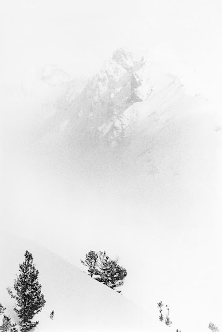 Winters Portfolio 1970-1980 - My First Portfolio (24 Photographs) For Sale 10