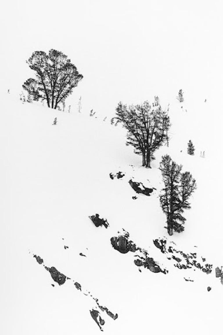 Robert Glenn Ketchum Black and White Photograph - 3 Trees (From the Winters Portfolio)