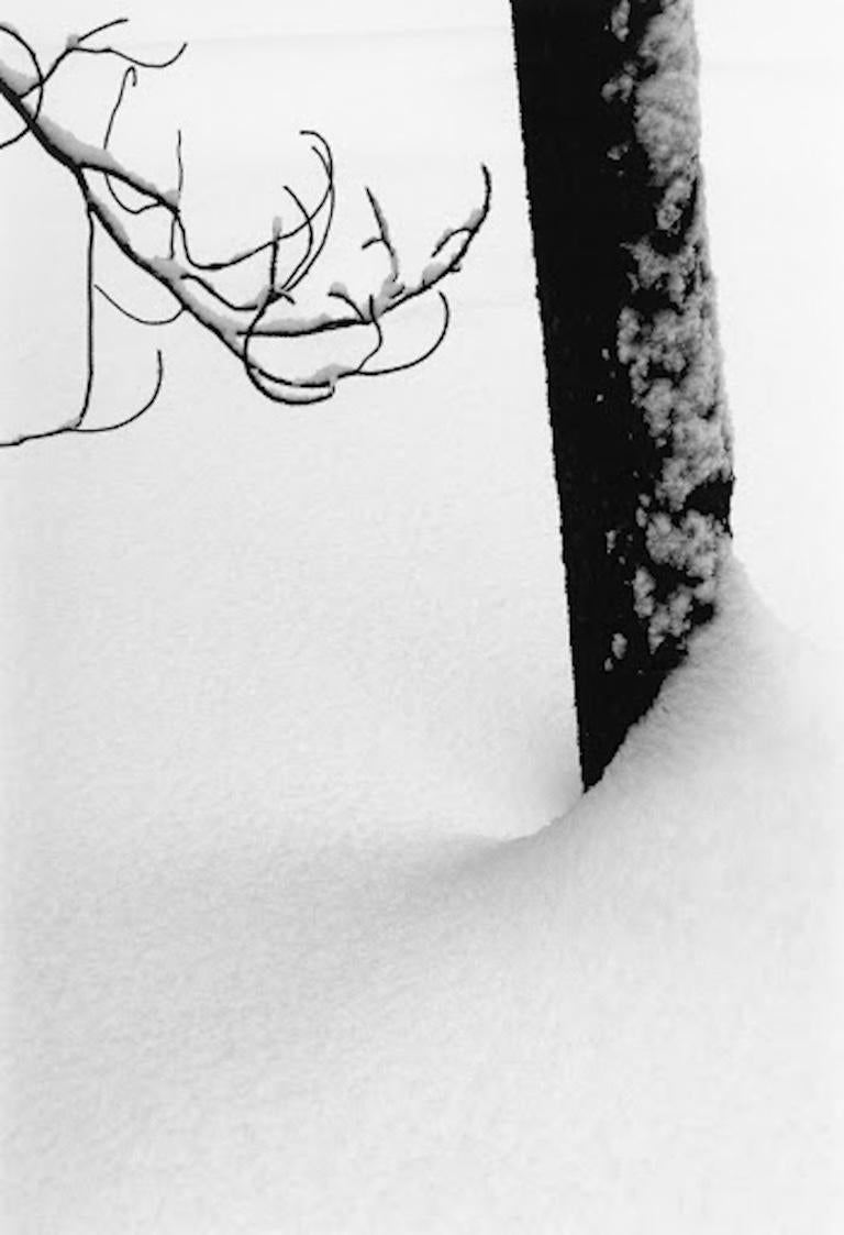 Robert Glenn Ketchum Black and White Photograph - Visual Haiku (Portfolio Print - Snowy Tree)